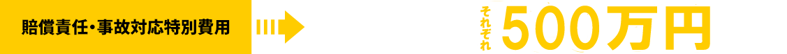 それぞれ500万円の補償